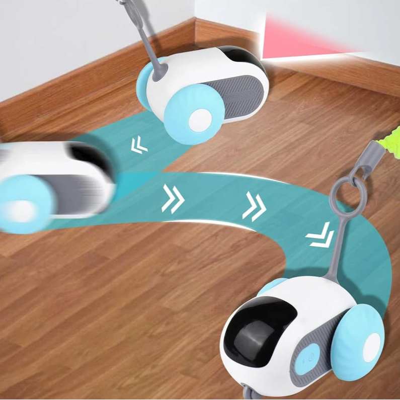 PetRacer