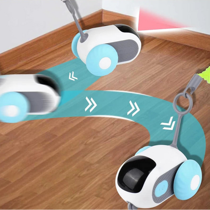 PetRacer